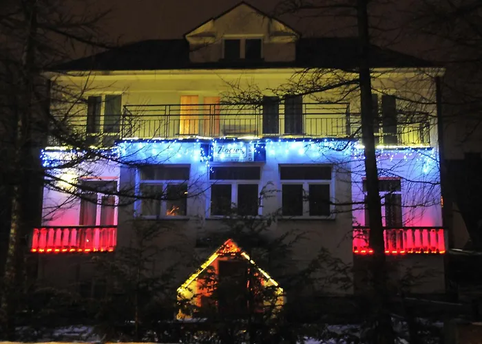 Złocień